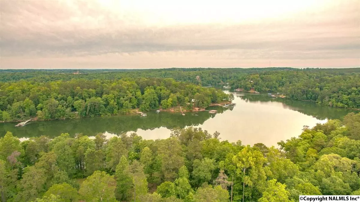 Arley, AL 35540,Lot 29 Rock Creek Penninsula