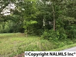 0 Danville Road E, Decatur, AL 35603