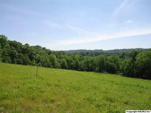 0 Beech Hill Road, Pulaski, TN 38478