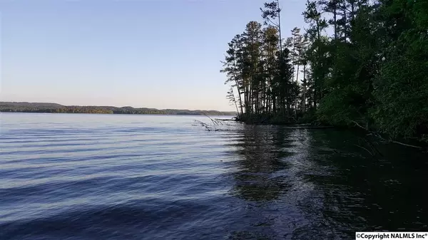 Lot 28 Holiday Shores Road, Scottsboro, AL 35769