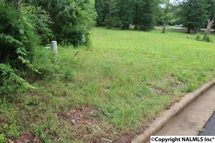 10 Cade Circle, Leesburg, AL 35983