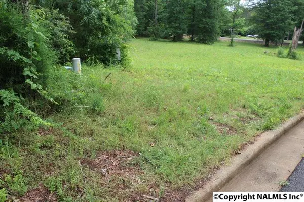 Leesburg, AL 35983,10 Cade Circle