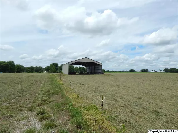 00 Old Railroad Bed Road, Toney, AL 35773