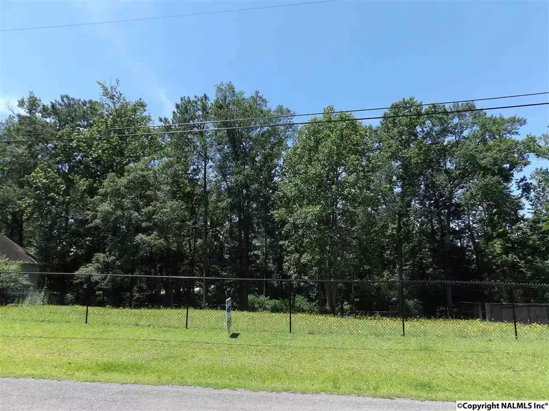 Ponderosa Avenue, Albertville, AL 35950