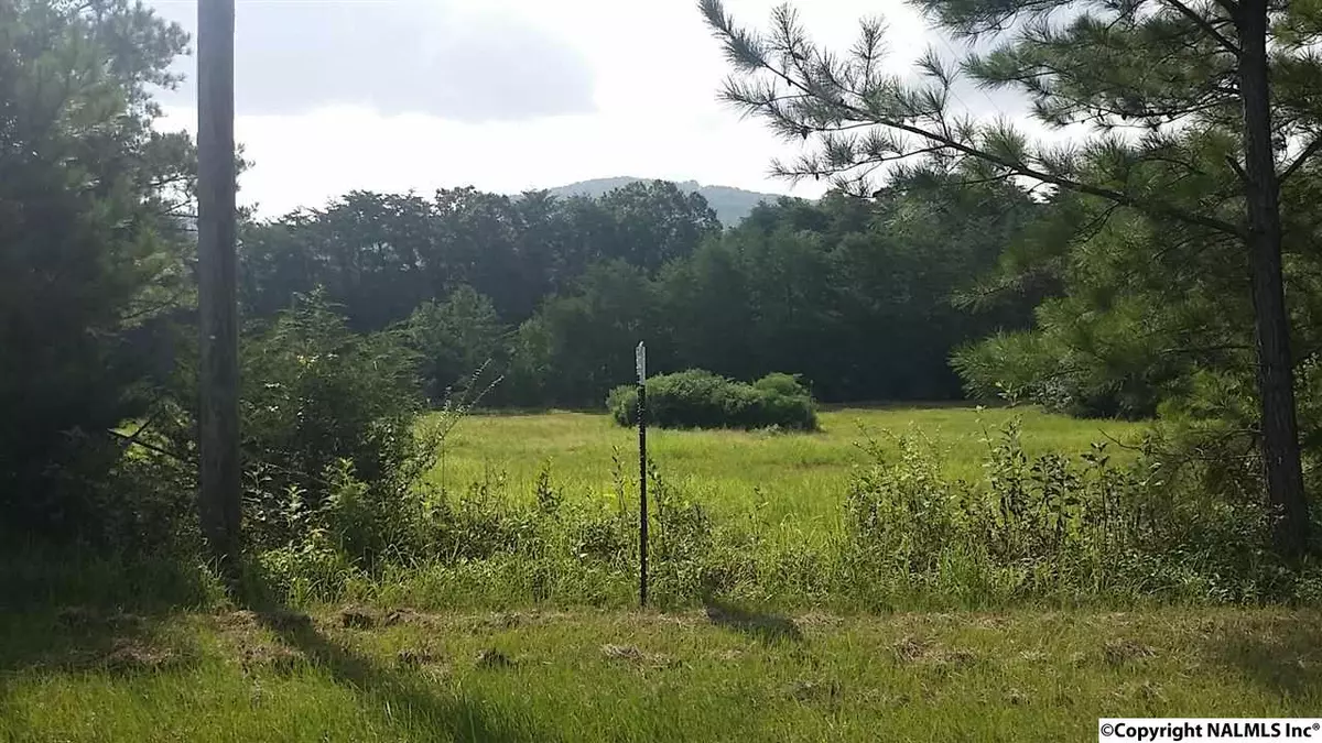 Fort Payne, AL 35967,6001 N Gault Avenue