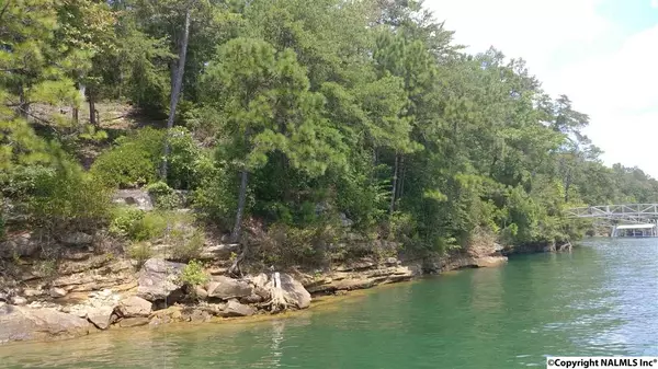 Houston, AL 35572,Brushy Pointe Overlook