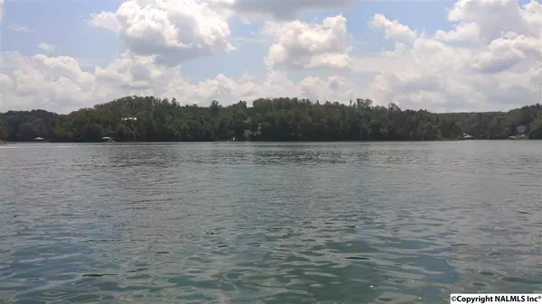 Houston, AL 35572,Brushy Pointe Overlook