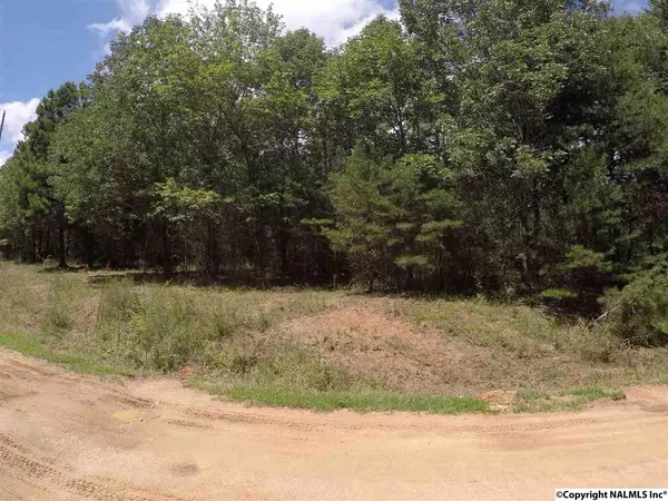 Tract 34 Road 9090, Fort Payne, AL 35967