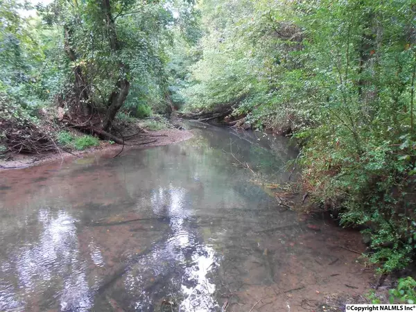 476 Brown Hill Road, Steele, AL 35987