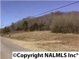 Wales Station Road, Pulaski, TN 38478