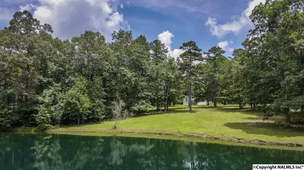 5311 County Road 106, Mentone, AL 35984