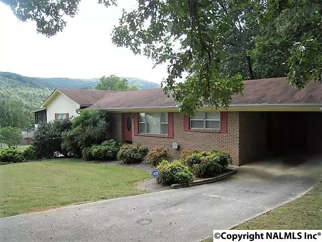 208 SW 38th Street, Fort Payne, AL 35967