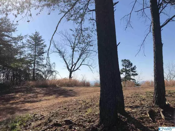 Leesburg, AL 35960,Lot 1 County Road 70