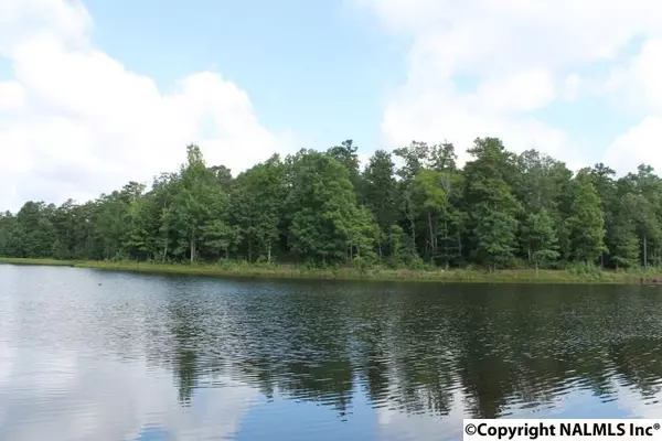 Lot 42 County Road 103, Mentone, AL 35984