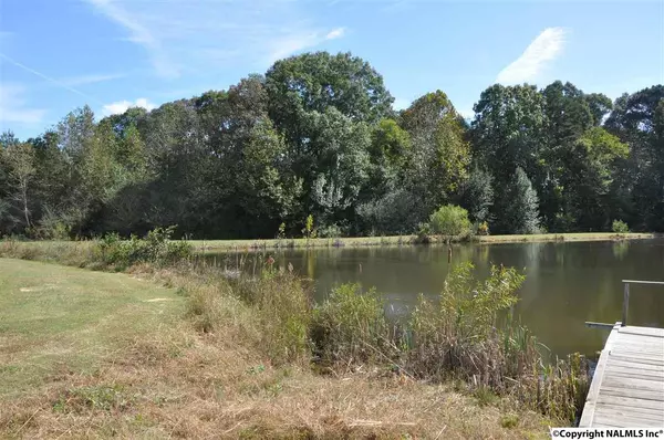 Joppa, AL 35087,00 County Road 1809