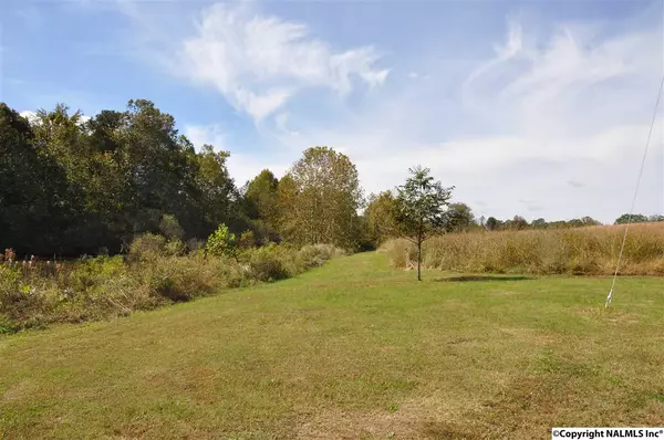 Joppa, AL 35087,00 County Road 1809