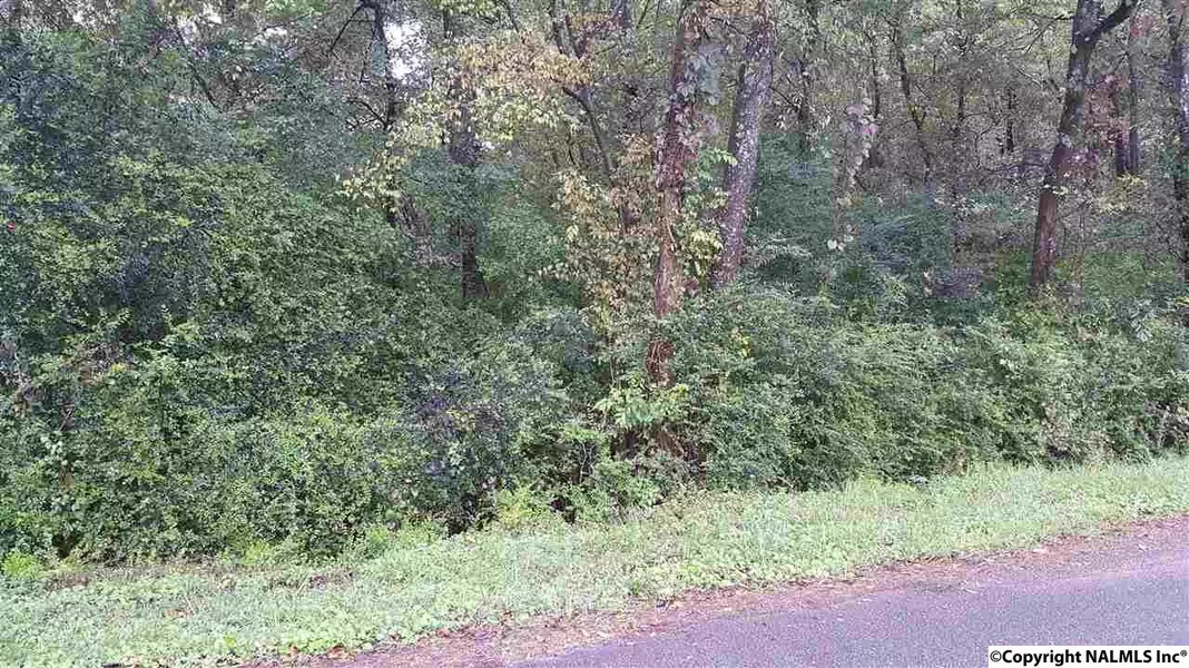 Lot 2 S Palmer Street, Guntersville, AL 35976