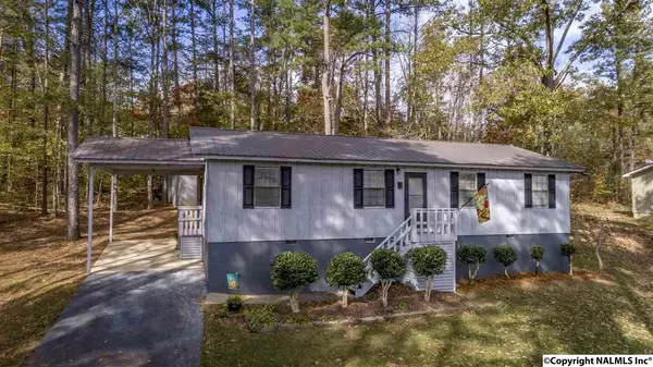 3914 Plains Avenue, Fort Payne, AL 35967