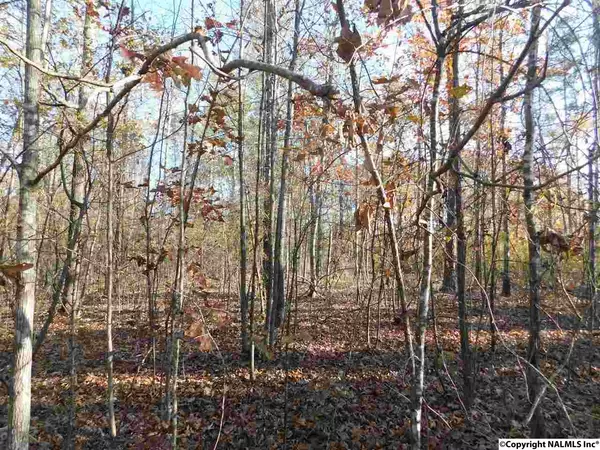 Cedar Bluff, AL 35959,Lot 13 County Road 667