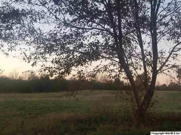 3967 County Road 43, Section, AL 35771