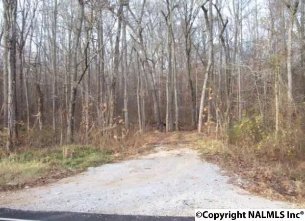 0 Bobo Section Road, Hazel Green, AL 35750