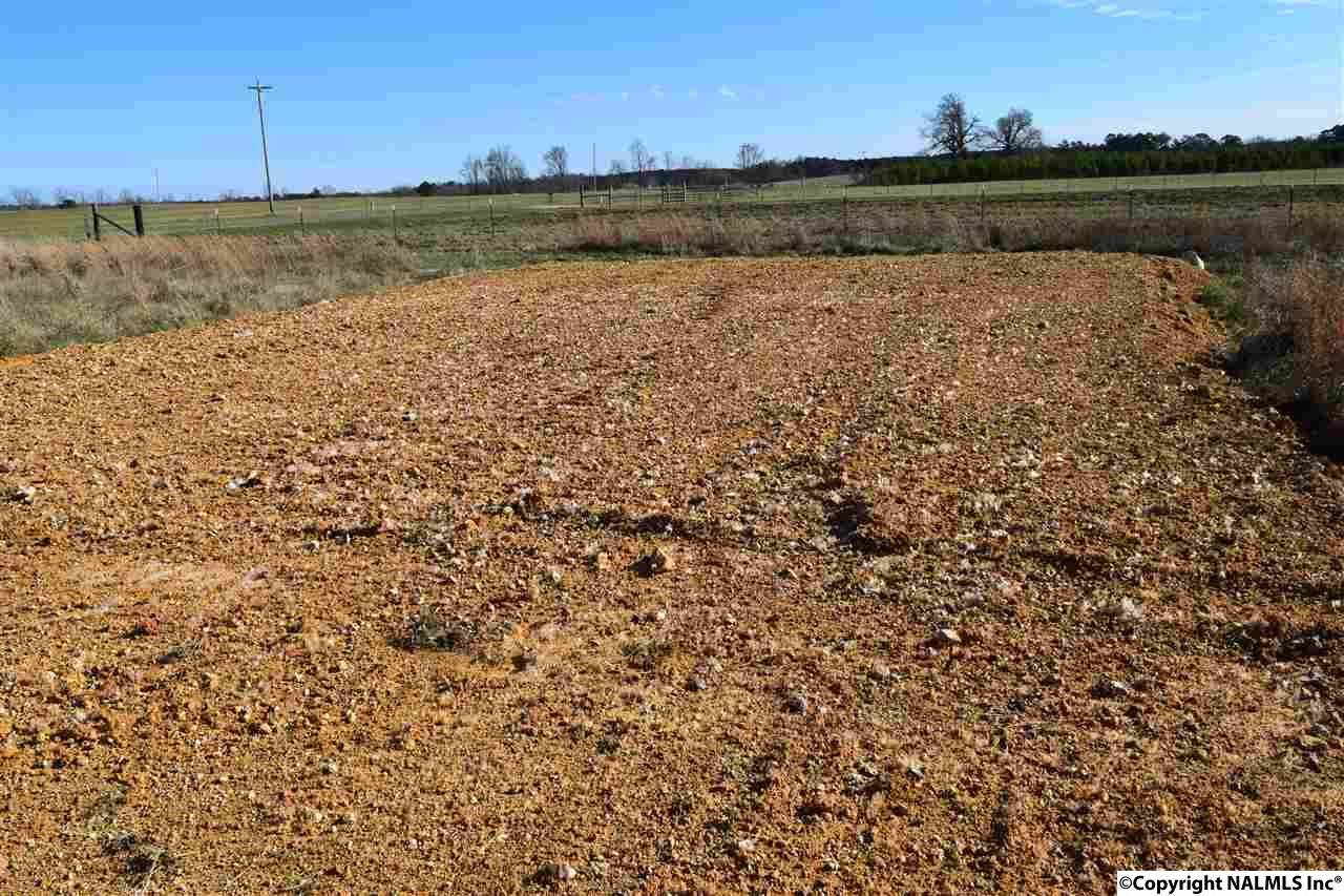 Section, AL 35771,County Road 395