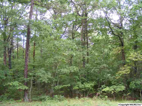 Mentone, AL 35984,Lot #3 Road 935