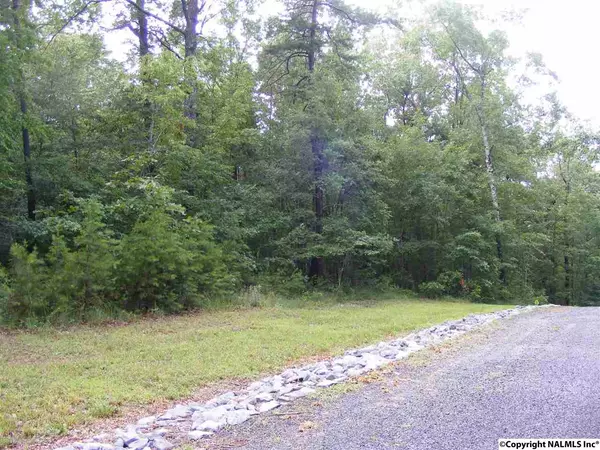 Lot #3 Road 935, Mentone, AL 35984