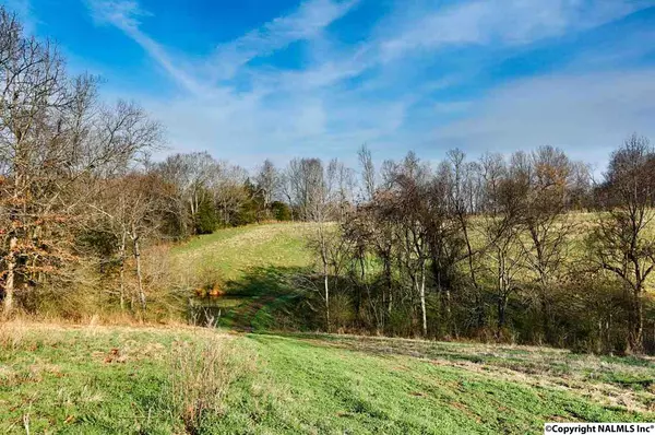 Prospect, TN 38477,0 Petty Hollow Road