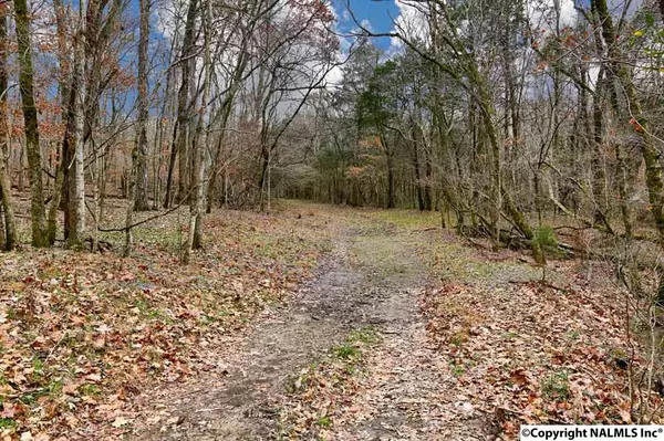 Ardmore, TN 38449,000 Ardmore Ridge Road