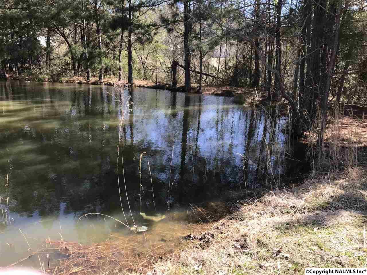 Southside, AL 35907,5011 Mountain Shadows Trail
