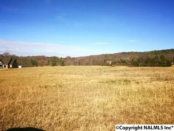 Lot 4A Red Bank Road SE, Decatur, AL 35603