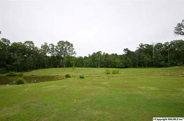 Nat Key Road, Falkville, AL 35622