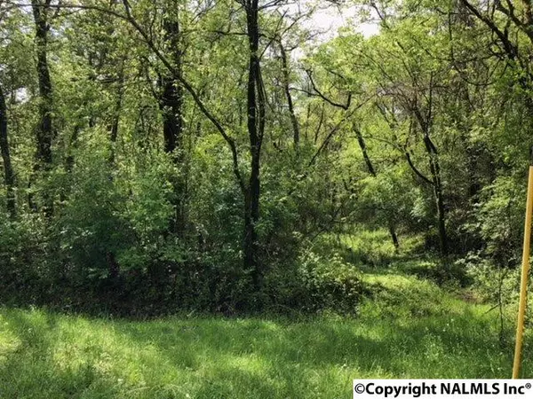 0 NW Spragins Hollow Road, Huntsville, AL 35810