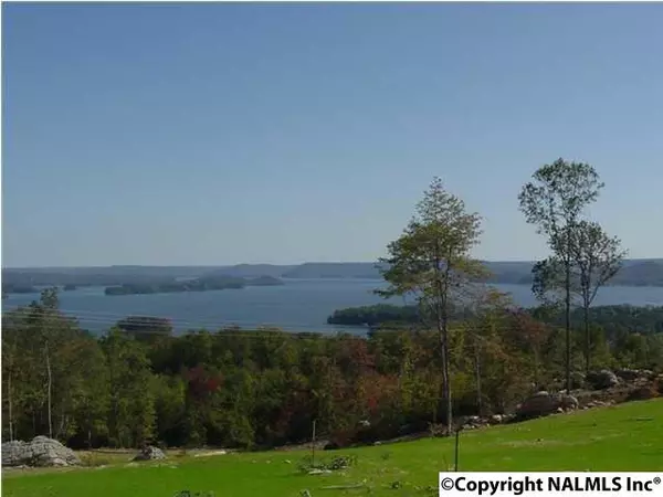 Guntersville, AL 35976,185 Legendary Drive #LOT 19