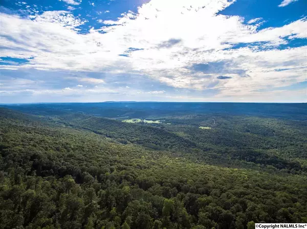 Cloudland, GA 30731,7182 Old State Road