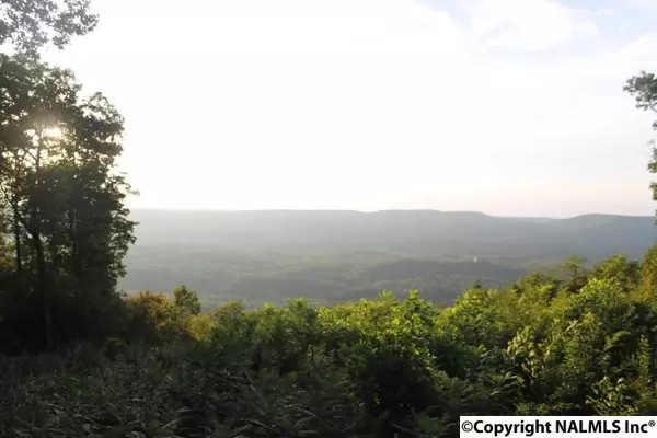 Cloudland, GA 30731,7182 Old State Road