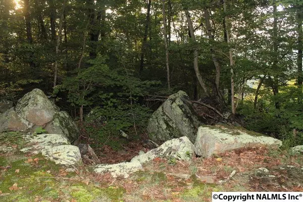 Cloudland, GA 30731,7182 Old State Road