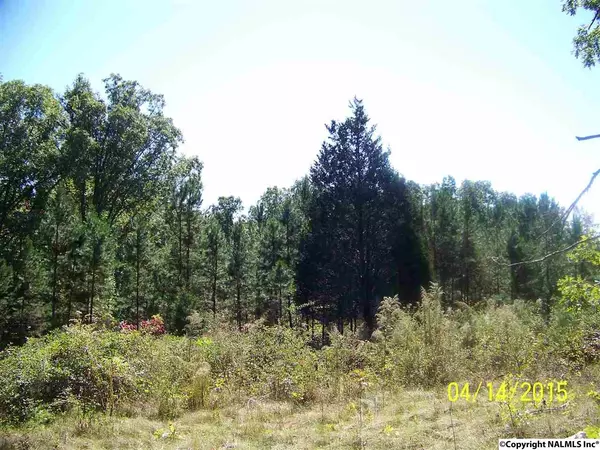 Fackler, AL 35746,000 E County Road 39