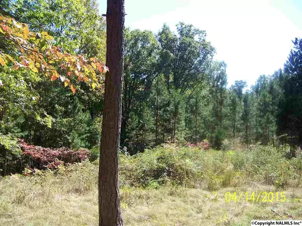 Fackler, AL 35746,000 E County Road 39