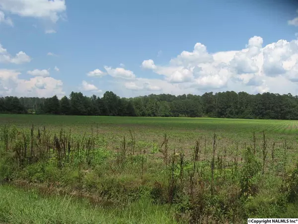 Owens Cross Roads, AL 35763,30 ACRES Piney Woods Road