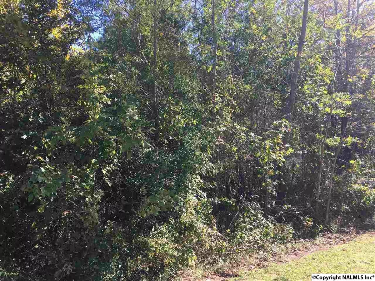 Cedar Bluff, AL 35959,Lot 115 Hidden Cove Road