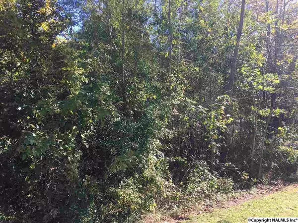 Lot 115 Hidden Cove Road, Cedar Bluff, AL 35959