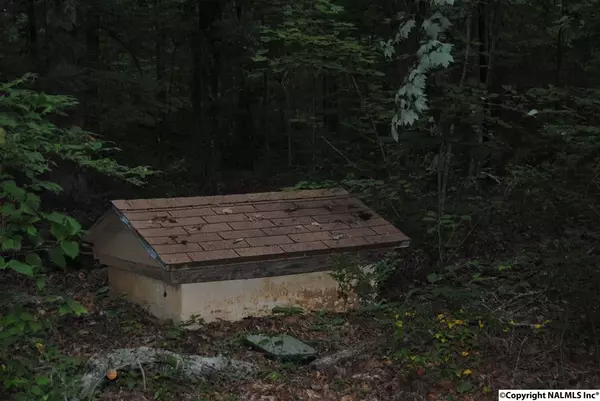 Princeton, AL 35766,6595 County Road 3