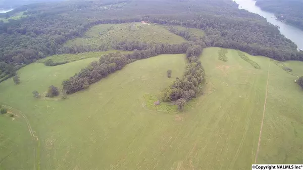 Logan, AL 35098,0 County Road 4000