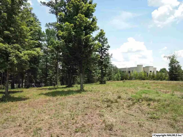 Crane Hill, AL 35053,0 County Road 115