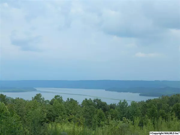 Lot B Guffey Road, Scottsboro, AL 35769