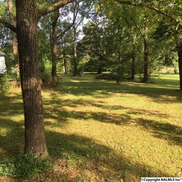 Higdon, AL 35979,3204 County Road 817