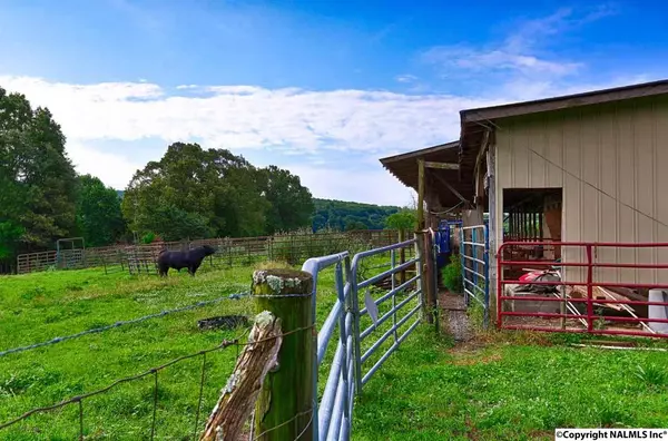 Elora, TN 37328,0 Mountain Road