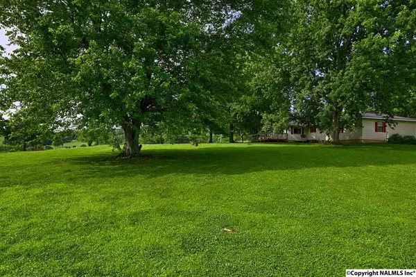 Elora, TN 37328,1 Mountain Road